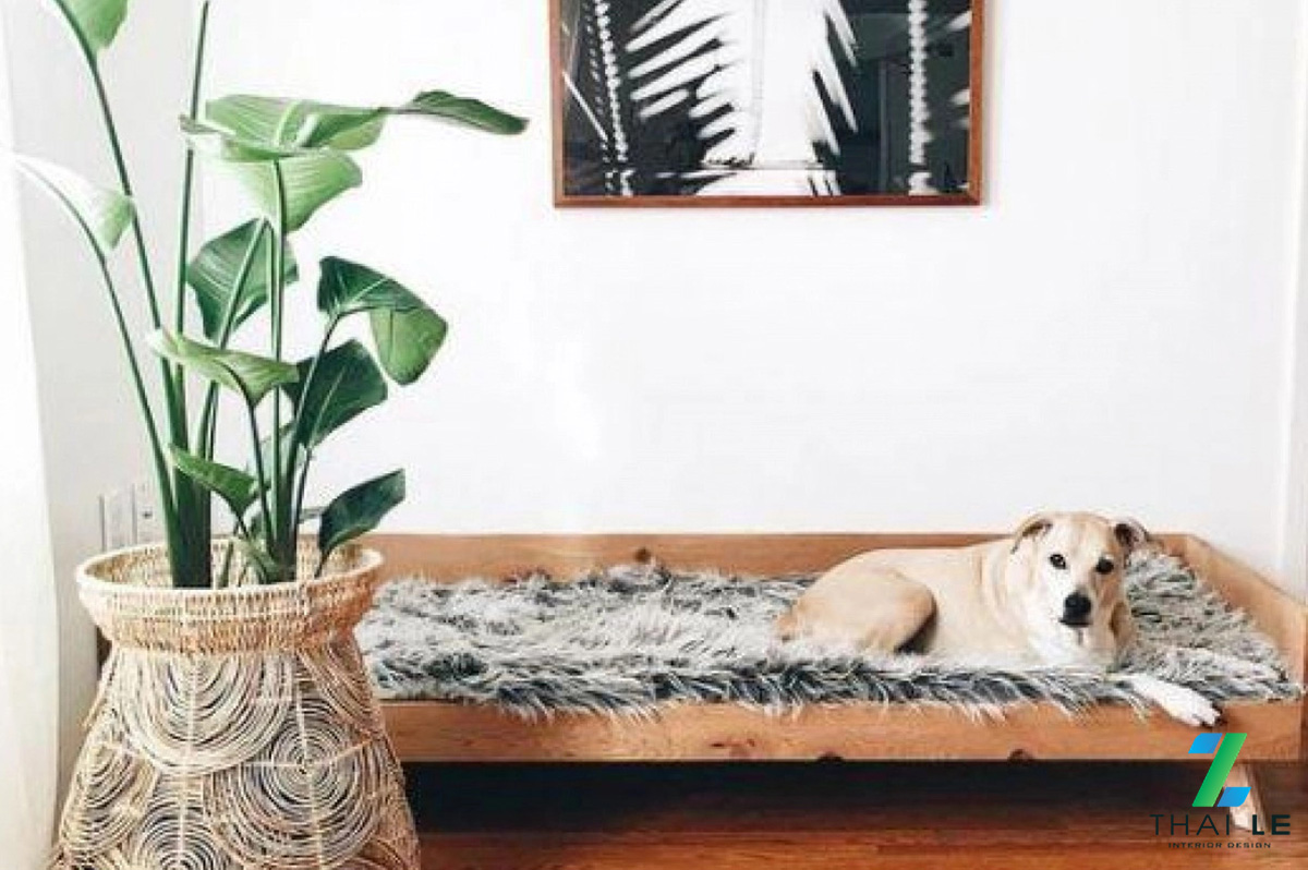 Cách giữ gìn nhà sạch sẽ khi có thú cưng